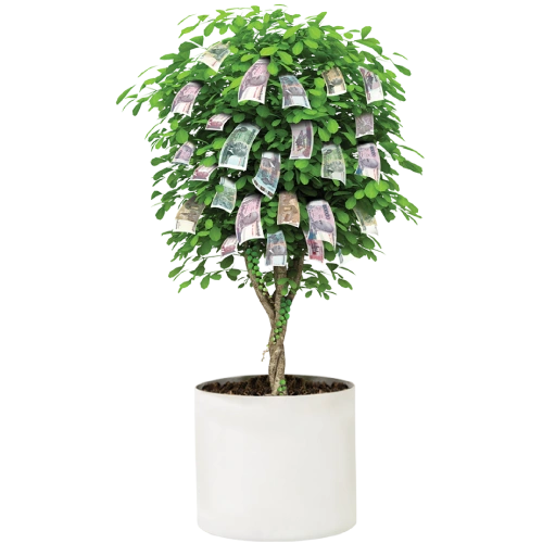 គណនីបញ្ញើមានកាលកំណត់